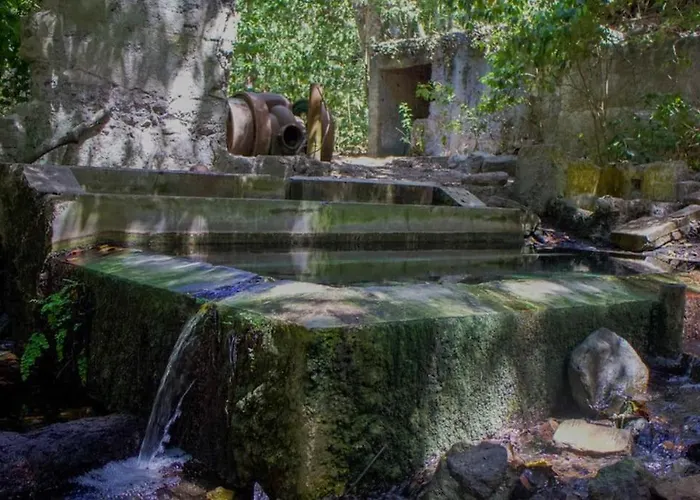 Tatil Evi Nature Life