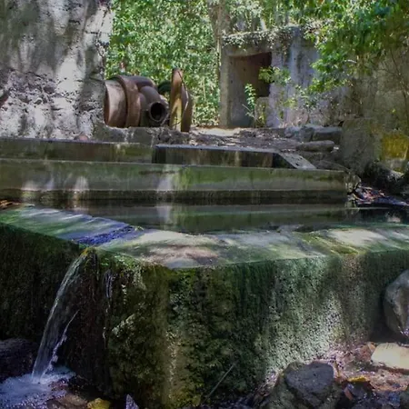 בית נופש Nature Life